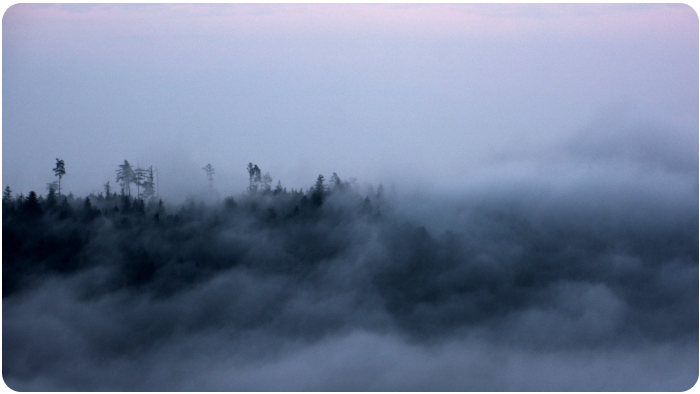 clouds, Black Forest - click on image to return