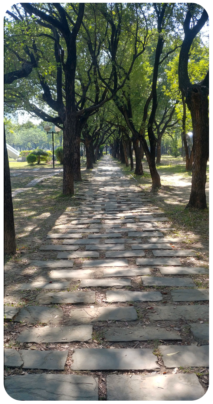 Calligraphy Greenway, Taichung- click on image to return