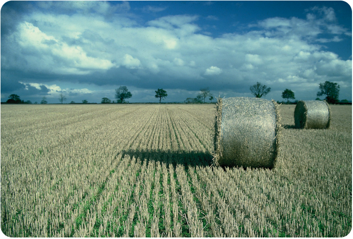 hay bales, UK - click on image to return