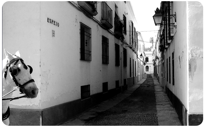 andalusian street- click on image to return
