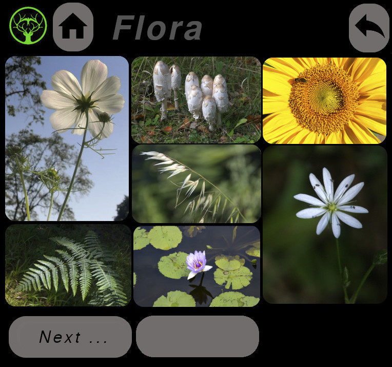 thumbnails - click for larger image